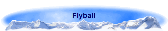 Flyball