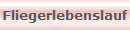 Fliegerlebenslauf