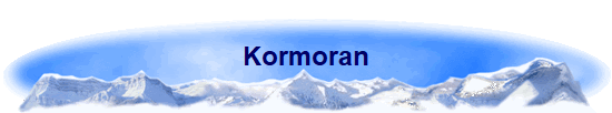 Kormoran